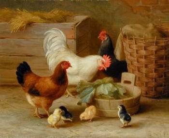 Cocks 092, unknow artist